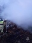 200 кур, коровы и телята погибли при пожаре в Башкирии