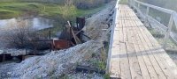 В Башкирии спасатели помогли быку, который упал с моста