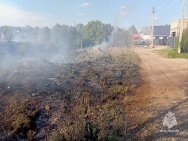 В Башкирии загорелись 3 га сухой травы