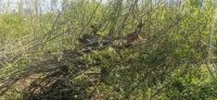 31-летний водитель «Ауди» погиб в страшном ДТП в Башкирии