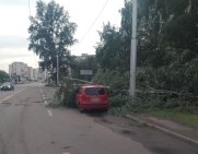 Потопы, срыв кровли и падение деревьев: стали известны последствия непогоды в Уфе