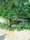 Потопы, срыв кровли и падение деревьев: стали известны последствия непогоды в Уфе