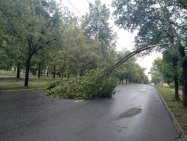 Потопы, срыв кровли и падение деревьев: стали известны последствия непогоды в Уфе