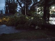 Потопы, срыв кровли и падение деревьев: стали известны последствия непогоды в Уфе