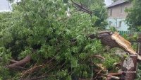 Два дома и 76 участков затопило в Башкирии из-за сильного ливня