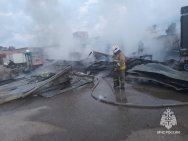 В Башкирии сгорела «Газель» с арбузами
