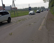 Упавшее дерево заблокировало проезд в уфимском Нагаево