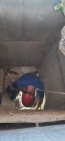 Под Уфой спасатели помогли коту, который застрял в вентиляционной шахте