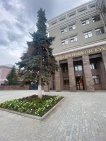 Две опасные ели срубили на Советской площади в Уфе