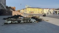 Две опасные ели срубили на Советской площади в Уфе