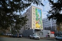 В Уфе появился новый мурал на улице Мира
