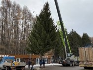 В Уфе установили первую новогоднюю елку