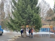 В Уфе установили первую новогоднюю елку