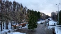 В Уфе установили первую новогоднюю елку