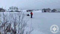 В Башкирии спасатели вытащили из пруда лося, который не мог встать на ноги