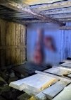 В Башкирии задержали двух браконьеров, которые незаконно застрелили лося