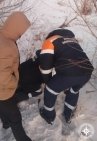 В Башкирии спасли провалившегося в колодец щенка