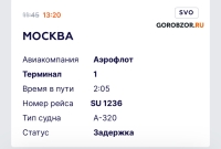 В Башкирии из-за непогоды задержаны рейсы и перекрыты дороги