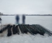 В Башкирии задержали мужчину, выловившего из озера более 3,6 тысячи раков
