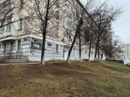 В Уфе высадят 17 лип на улице Карла Маркса