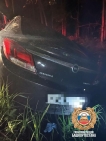 В Башкирии водитель сбил насмерть лося и врезался в дерево, погиб пассажир