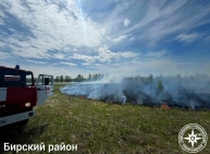 За сутки в Башкирии произошло три возгорания сухой растительности