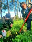 В честь 80-летия Победы в Национальном парке Башкирии высадили хвойную аллею