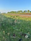 В Башкирии из искореженного автомобиля достали тело 20-летнего парня
