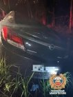 В Башкирии водитель сбил насмерть лося и врезался в дерево, погиб пассажир