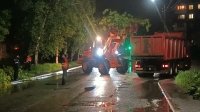 В Уфе сильный ветер повалил деревья