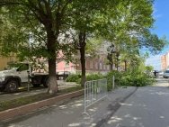 В центре Уфы вырубают аварийные деревья