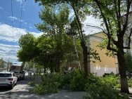 В центре Уфы вырубают аварийные деревья