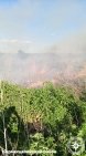 В двух районах Башкирии загорелась сухая трава