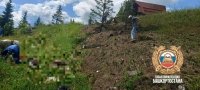 Протаранил отбойник: в Башкирии в страшном ДТП погиб водитель грузовика
