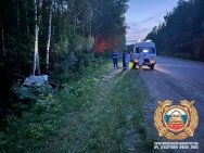 В Башкирии ребенок и мужчина погибли в результате ДТП с лосем