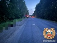 В Башкирии ребенок и мужчина погибли в результате ДТП с лосем