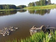 В Башкирии водитель иномарки погиб после съезда в озеро