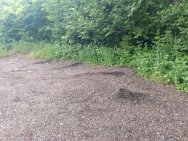 В Башкирии вандалы похитили скамейки