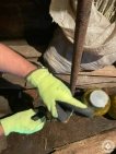 В Башкирии спасатели извлекли змею из погреба в гараже