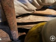 В Башкирии спасатели извлекли змею из погреба в гараже