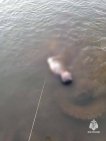 Тела двух детей и 6 взрослых достали из воды в выходные в Башкирии
