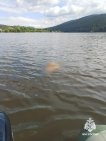 В Башкирии из воды достали тела троих мужчин