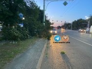В Уфе водитель такси снес дерево на проспекте Октября
