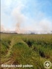 В районе Башкирии произошел лесной пожар
