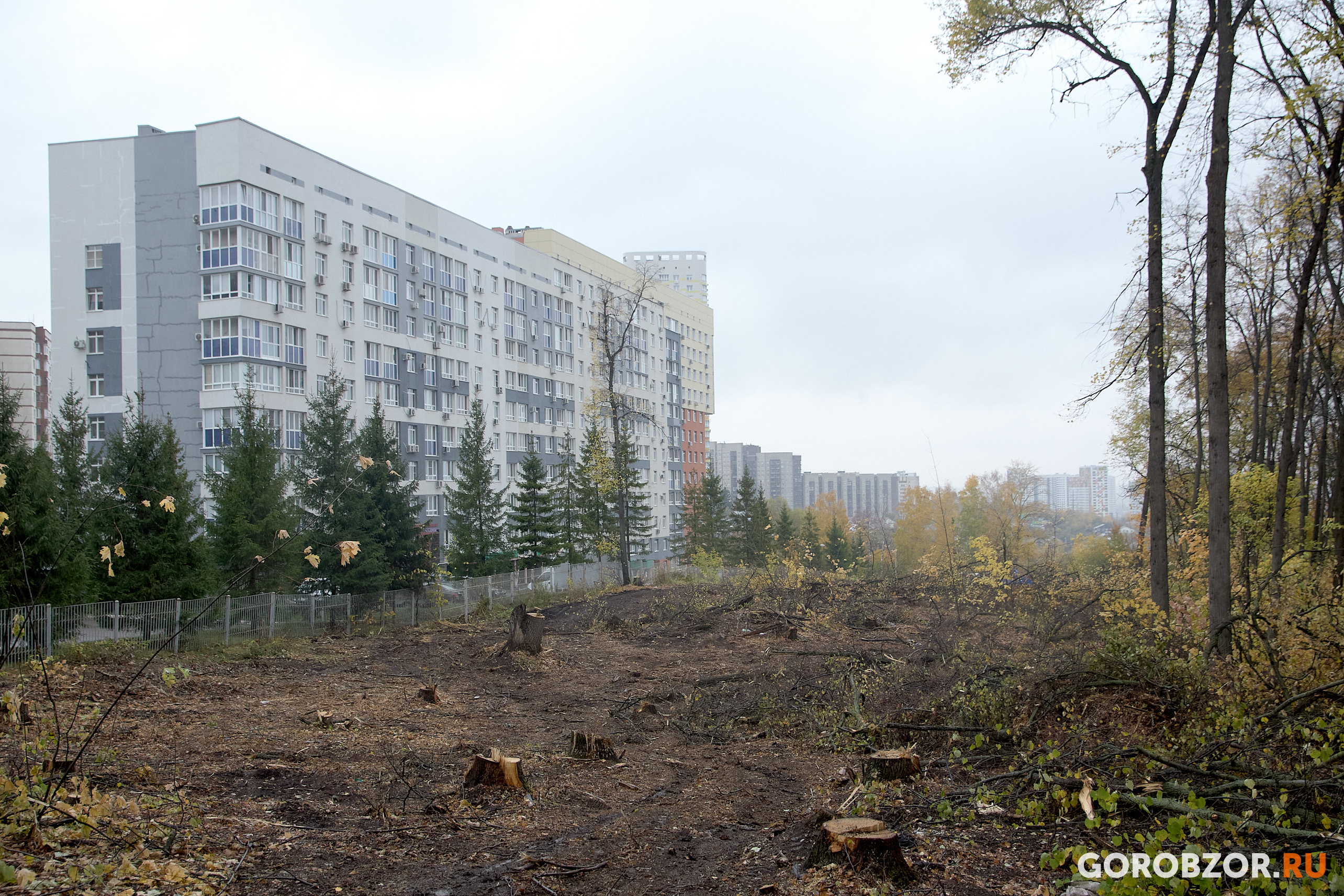 В Уфе частично вырубают Кошкин лес: разбираемся, что там происходит